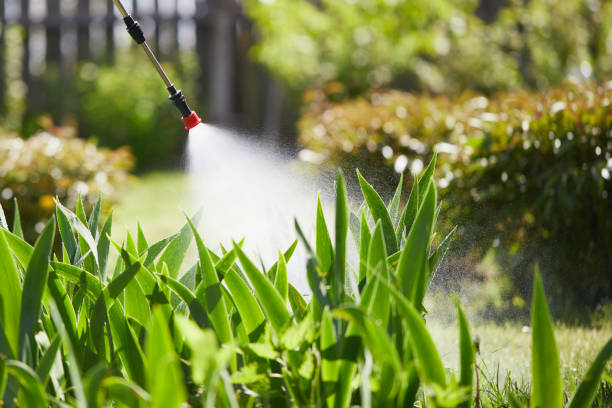 24/7 Emergency Mosquito Control experts in Genoa, OH