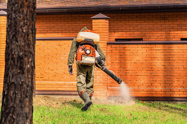 Top rated local Mosquito Control specialists in Genoa, OH